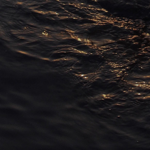 汤芳在METCN的成名经历简介
