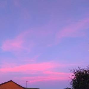 汤芳在METCN的成名经历简介
