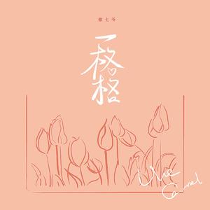 汤芳在METCN的成名经历简介
