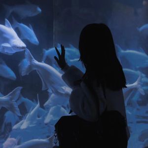 汤芳在METCN的成名经历简介
