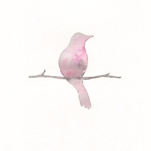 汤芳在METCN的成名经历简介
