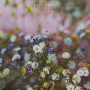 汤芳在METCN的成名经历简介
